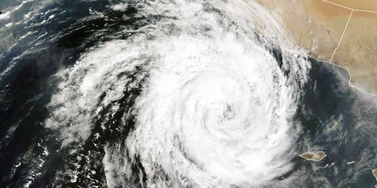 NatConnect Foundation